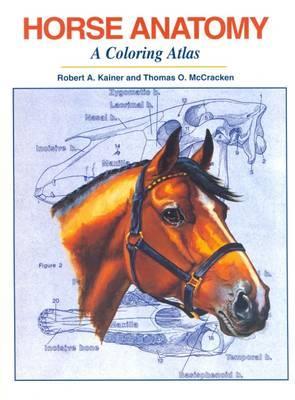 Terms The Horse Horse Industry Handbook Feeding