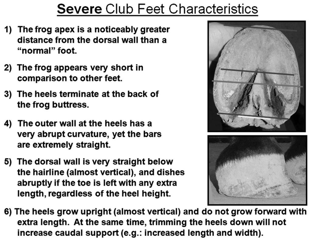 Moderate Club/Upright feet are very common and if properly managed tend to be non-problematic.