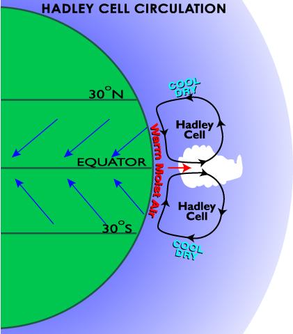 Hadley circulation Ocean Response to Atmospheric Circulation Warm pool Winds cause a
