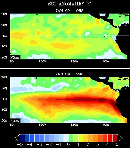?? SST anomalies for 1982 and 1997 El Niño Events Sometimes called the warm