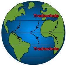 Called trade winds because early sailors used the winds to sail from Europe to America Blow between 30 o latitude and the