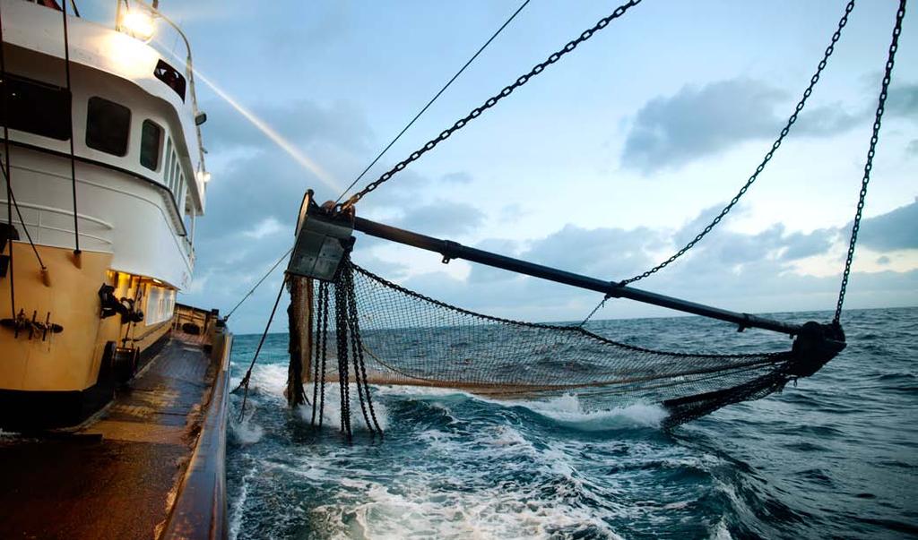 Beam trawling in heavy seas. The trawl here is breaching the water as it is towed at 6.5 knots.