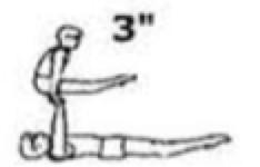 Top body position can be in tuck or pike. Hold. ID = D1 Top takes hands of base and jumps to ground, landing in front of base. Landing must be supported by base.