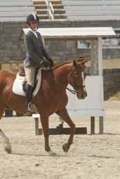 Classes Judged on the Rider Huntseat equitation and western horsemanship classes are judged on the position and effectiveness of the rider.