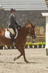 In equitation classes, riders may incline slightly forward when posting a trot or riding a hand gallop (Figure 17).