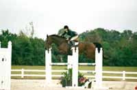 sively to get a response. In both equitation and horsemanship, riders should not move excessively when riding, and riders cues should be virtually invisible to the onlooker.