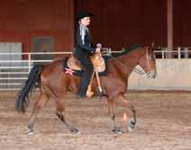 A hand gallop refers to the horse performing a gallop in a manner that is controllable by the rider; often in classes with larger numbers it simply becomes a slight extension of the canter since