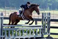 The horse is severely penalized if he jumps with a form that is unsafe, such as hanging its legs or splitting its knees, since these faults make it more likely that the horse will fall if it hits the