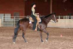 The western pleasure horse may also be asked to extend its jog and should do so willingly without breaking gait. Horses are penalized if their gait is not true.