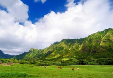 TRAVEL: 1 Jun - 31 Dec 17 Tour from $ 69 * per person GRAND CIRCLE ISLAND TOUR A fully narrated 193 kilometre tour of Oahu including all of the must-see locations.