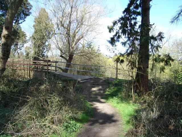 The path joins corner of copse.