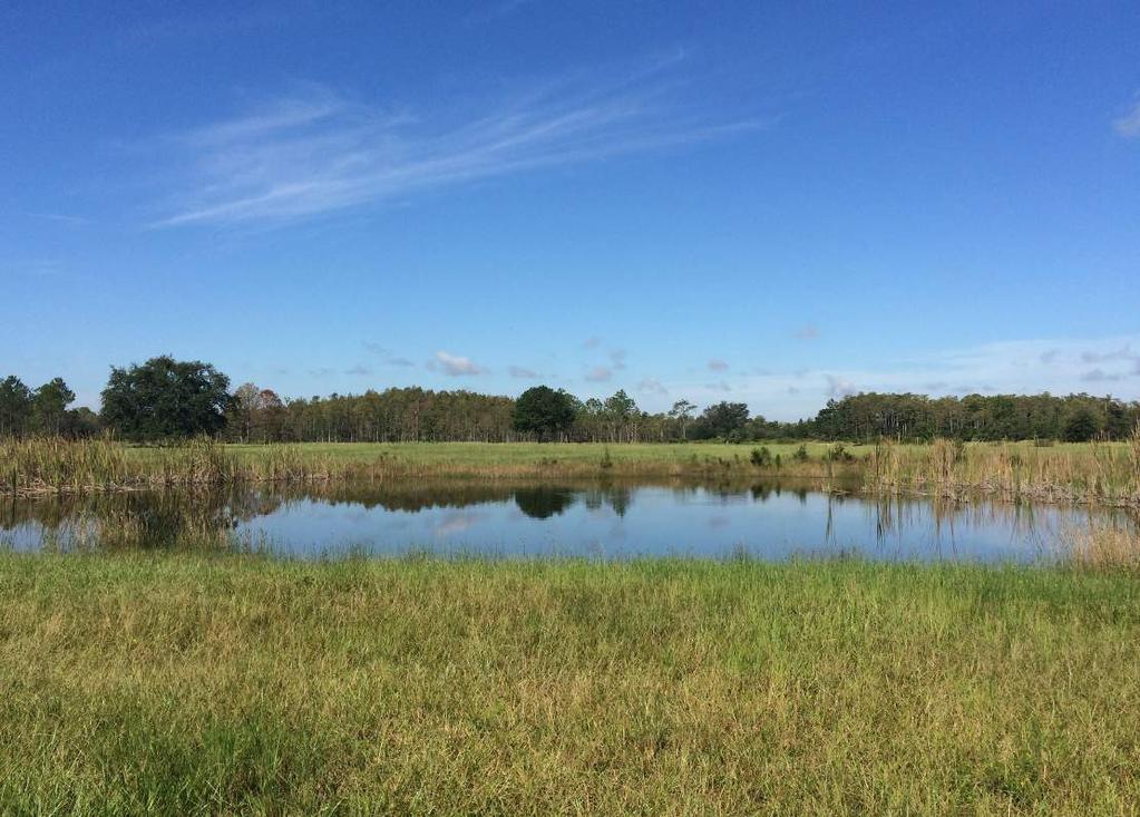 enjoy WATERFRONT, RECREATION & beautiful old Florida scenery COME DISCOVER ENDLESS POSSIBILITIES ON BULL CREEK RANCH!