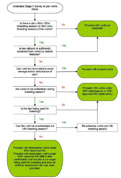 Pine marten Mitigation Decision Tree Beauly Denny OHL and Sub