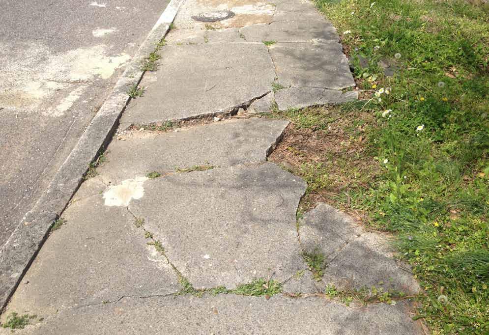 sidewalk maintenance is an issue in many areas.