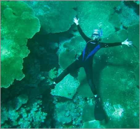 The corals turn from green to white because it does not have algae living in it, called coral bleaching.