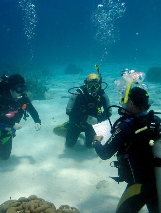 Buddy Dive Academy offers an extensive spectrum of courses, from kids courses like PADI Bubble Maker all the way up to the Instructor Development Course (IDC).