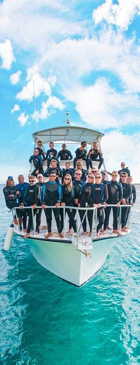 Buddy Dive combines the best of both worlds; the extensive knowledge, resources and facilities of Bonaire s top dive operation, while providing divers personal attention from the friendly dive staff
