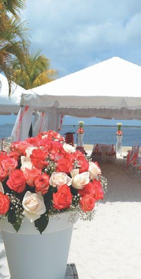 Romance & Weddings The naturally romantic side of Bonaire. Whether you are looking to tie the knot in a naturally romantic setting or cele brating an important day, Bonaire has the perfect setting!