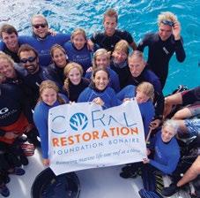Resort staff volunteers reefs, called coral restoration sites.