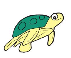 Reef Pulse - U5 L4 A7 Think about it... What structure allows turtles to defend themselves?