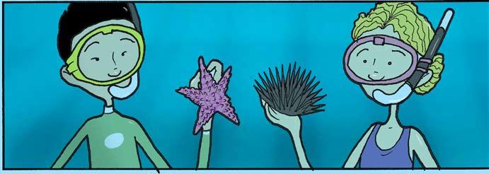 Alive! ~ Alive and DEFENDING What animal defends itself with spines? Painfully Prickly (Sea Urchin and Sea Star Defense) SEa urchins and Sea stars! Sea Urchin and Sea Star.