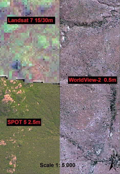 The SPOT 5 imagery (a 2,5 m resampled spatial resolution annual coverage over South Africa since 2006) is a very valuable data component for a time-series analysis.