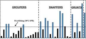 SPAWNING POTENTIAL RATIO (%) 100 just a few species (Bohnsack et 90 GROUPERS SNAPPERS GRUNTS al. 1999).