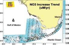 Increases occurred in the Southwest Florida Shelf, Dry Tortugas, Marquesas Keys, and Lower and Upper Keys. D Total organic nitrogen (TON) trends in FKNMS, 1995-2000.