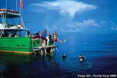 FLORIDA Figure 155. Approximately 900,000 people dive or snorkel in the Florida Keys each year (Photo: Paige Gill). County commercial fishermen earned $53.2 million in ex-vessel revenues (FWCC 2000).