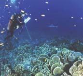 As mentioned before, by the end of 2001, NOAA had completed mapping benthic underwater habitats off Puerto Rico and the USVI. They have been mapping habitats off the Main Hawaiian Islands since 2000.