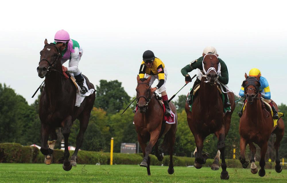 HANDICAPPING SARATOGA WITH BRIS ALL-WAYS DATA by Ed DeRosa As a multi-race player, finding winners is the most important output of my handicapping process, and there s no meeting where finding