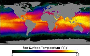 Vertical Structure of the Oceans sfc cold too!