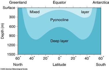 Vertical Structure of the Ocean Mixed Layer warm near uniform density stirred due to wind-driven surface currents Pycnocline water density increases rapidly with depth because of changes in