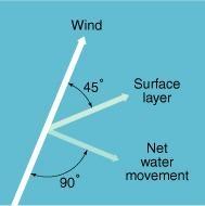 Wind, Coriolis Force & Ekman Spiral topmost layer subject to wind stress layers below experience frictional drag o current about 2-3% of wind speed surface water moves in the same direction as the