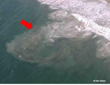 How to escape a rip current: Relax; don t swim back to shore directly against a rip.