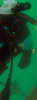 and stamina exercises in confined and open water environments Ñ Map a dive site,