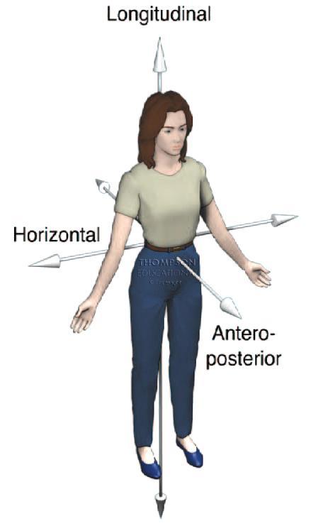 Anatomical Axes are used to describe the direction of movement at joints: Longitudinal (polar) axis: In a north-south relationship to the anatomical position