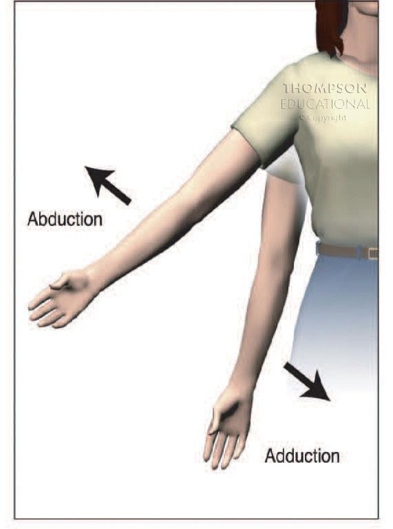 Abduction: moving away from the midline Adduction: moving towards the midline