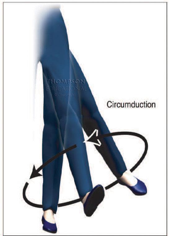 Circumduction: conical movement of a body part, best performed at ball and socket joints like the shoulder and hip.