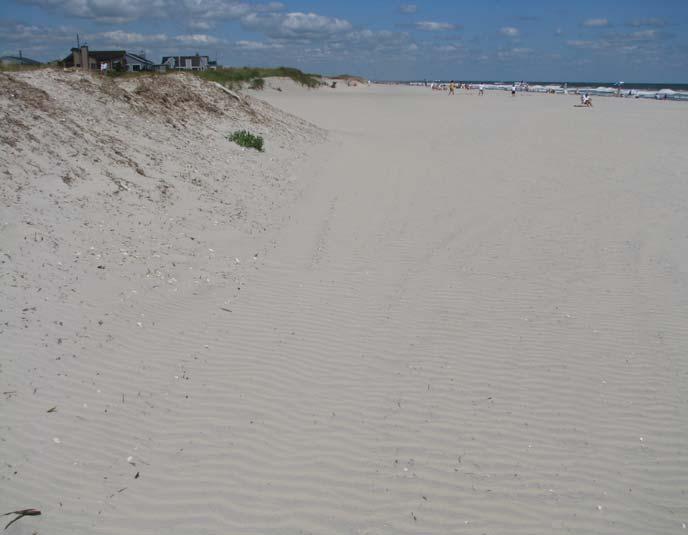 View 5b shows the foredune developed seaward of the Federal project dune built in 2002.
