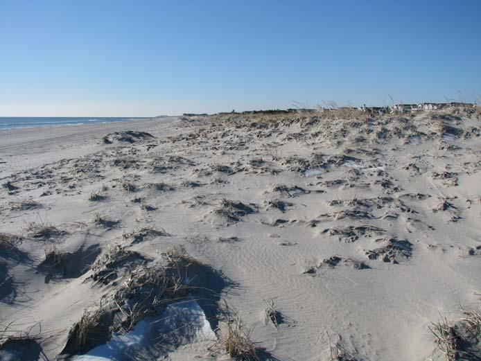 View 9b is a view south, parallel to the toe of the dunes. The wrack-line shows where the first of the El Nino series of storms carried wave energy on this beach.