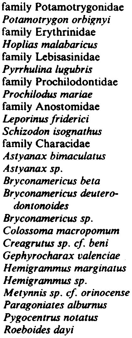 Py"hulina lugubris family Prochilodonidae Prochilodus mariae family Anosomidae Leporinus friderici