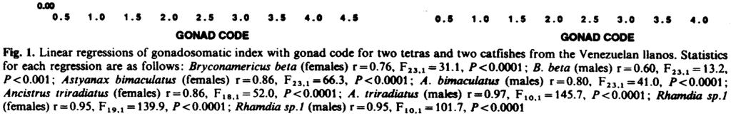 7 >< W Q U ( ) Q ( Z )( W Q U C n g C Z '» Asyanax b/msculaus o.a Rhamdis.,, >< w u C ) C Z ".8.-.5. u i= c C). C Z.- " )( U.5 a.-.5..5..5..5..5...5..5..5. GONAD CODE GONAD CODE F"g.