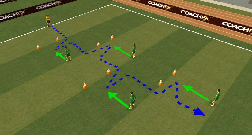 Goalkeeping: Diving Diving Warm Up Randomly place balls inside the area. Players move around and perform exercises with the balls on coach command. Pick up, throw and save on the bounce.