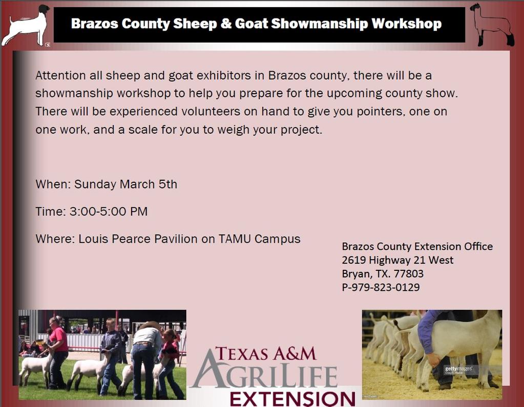 2017 Brazos County Validation Dates & Tag Orders Major Show Steers Validation June 17th at the Auction Barn starting at 7:30am Tag orders due April 11th State Fair Sheep, Goats, & Swine Validation