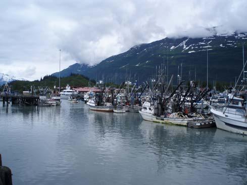 5.6% 5.6% Valdez Harbor Valdez, Alaska The APSC/SERVS Valdez FV Fleet Inventory includes 18 Tier I vessels and 15 Tier II vessels.