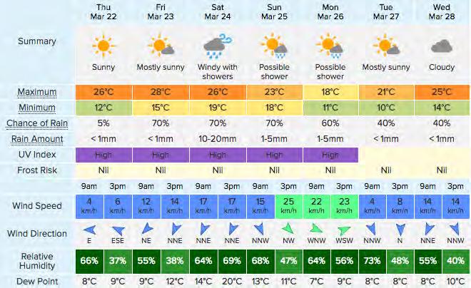 WEATHER FORECAST So it looks almost perfect for running, which is a far better option then 35 degrees like last year, we might see a sprinkle of rain but barely enough to wet the ground.