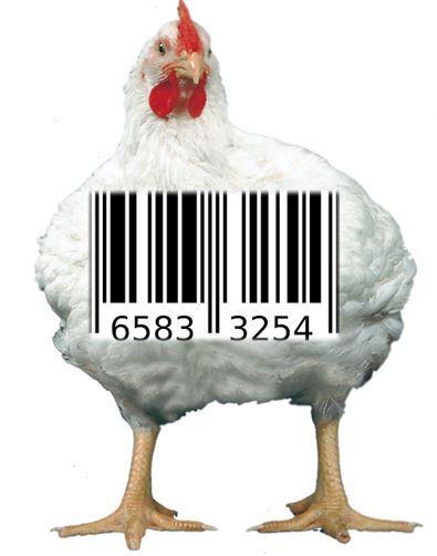 Food Safety and Traceability Basic