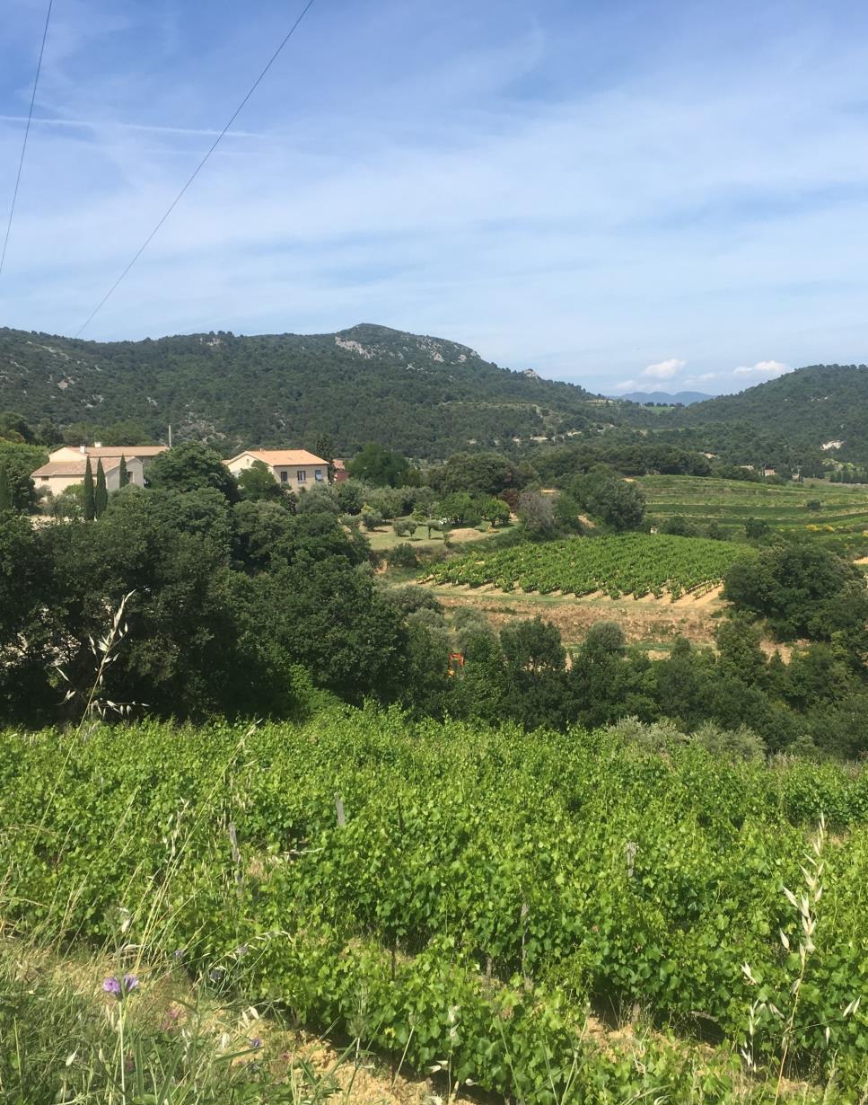 Day One Bubba s Cycling Tours will collect you from the airport in Lyon for the transfer to our hotel in Vaison La Romaine, one of the most beautiful and historically significant towns in Provence.