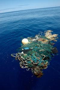 Marine pollution originating from purse seine and